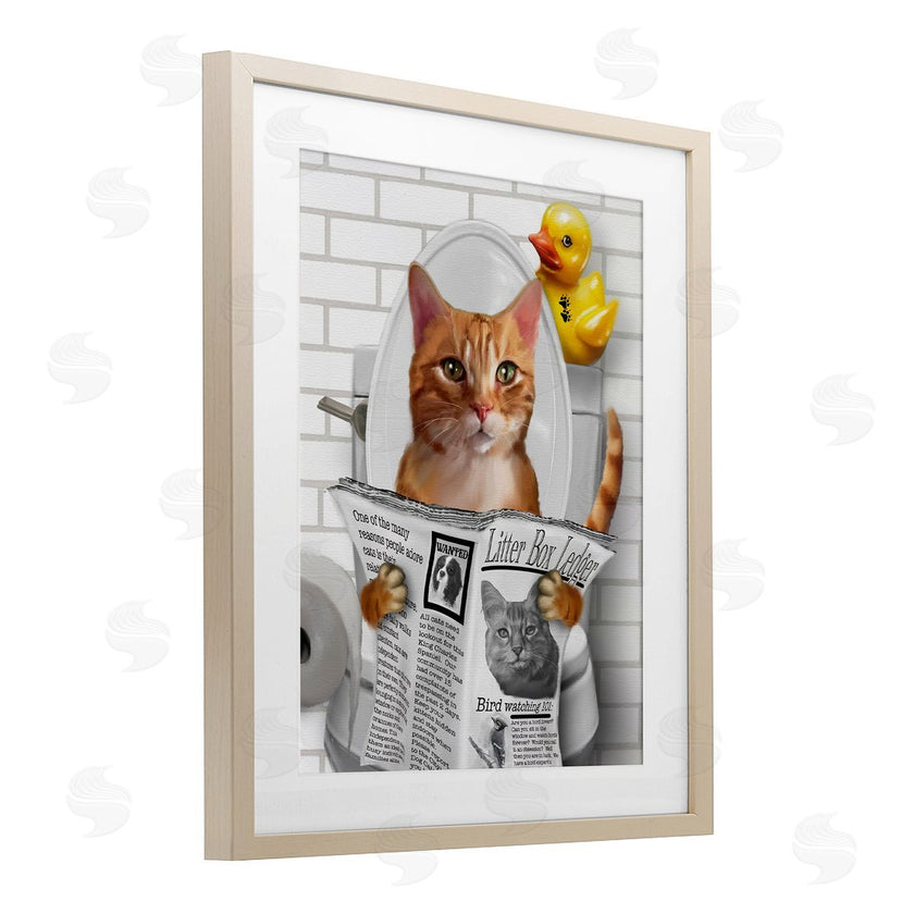 Matthew Piotrowicz | Cat on Toilet with Ducky