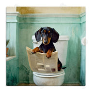 Kim Allen | Light Reading Dog Toilet