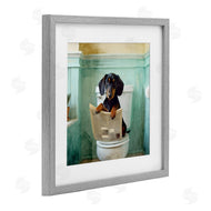 Kim Allen | Light Reading Dog Toilet