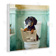Kim Allen | Light Reading Dog Toilet