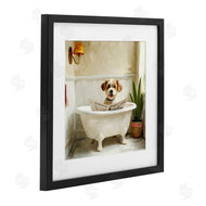 Kim Allen | Light Reading Dog Bath