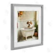 Kim Allen | Light Reading Dog Bath
