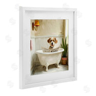 Kim Allen | Light Reading Dog Bath