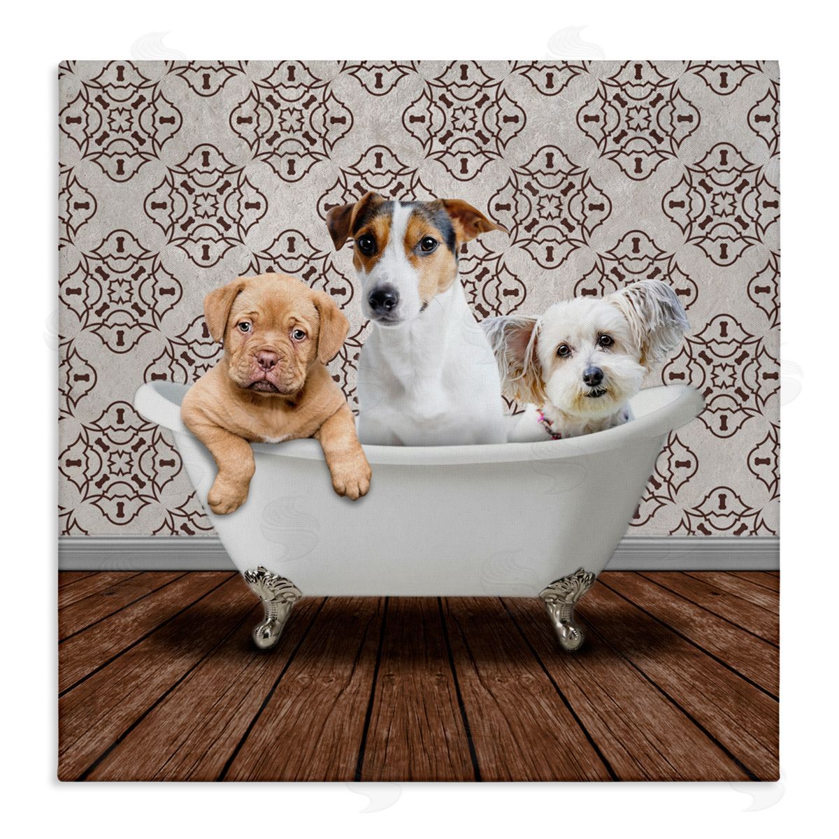 Marcus Prime Bath Buddies Dog Trio Canvas Wall Art Print