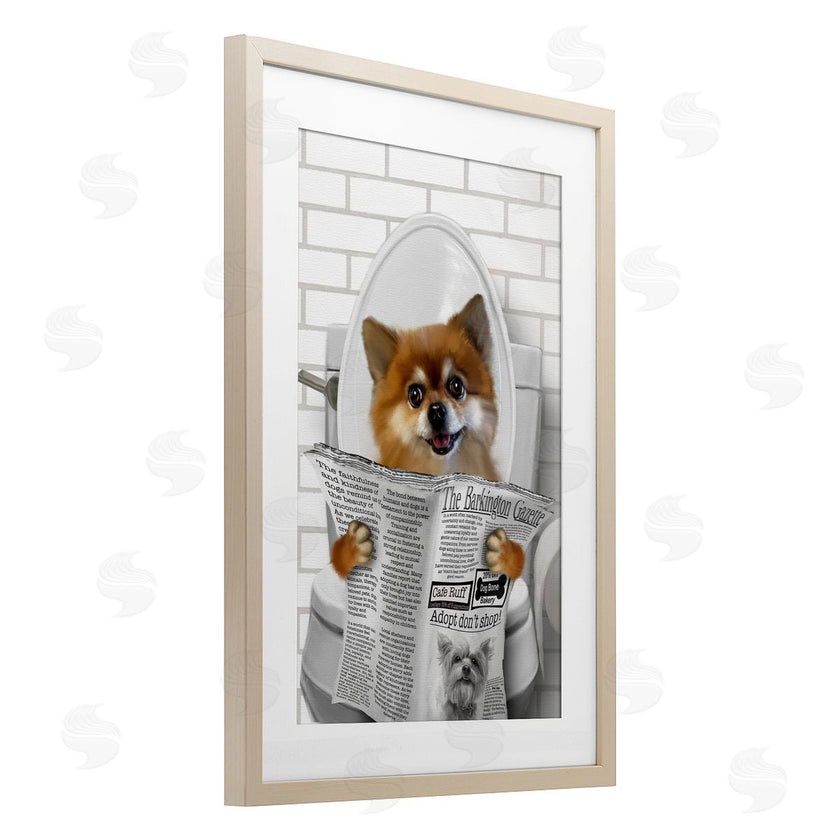 Matthew Piotrowicz | Pomeranian Dog on Toilet