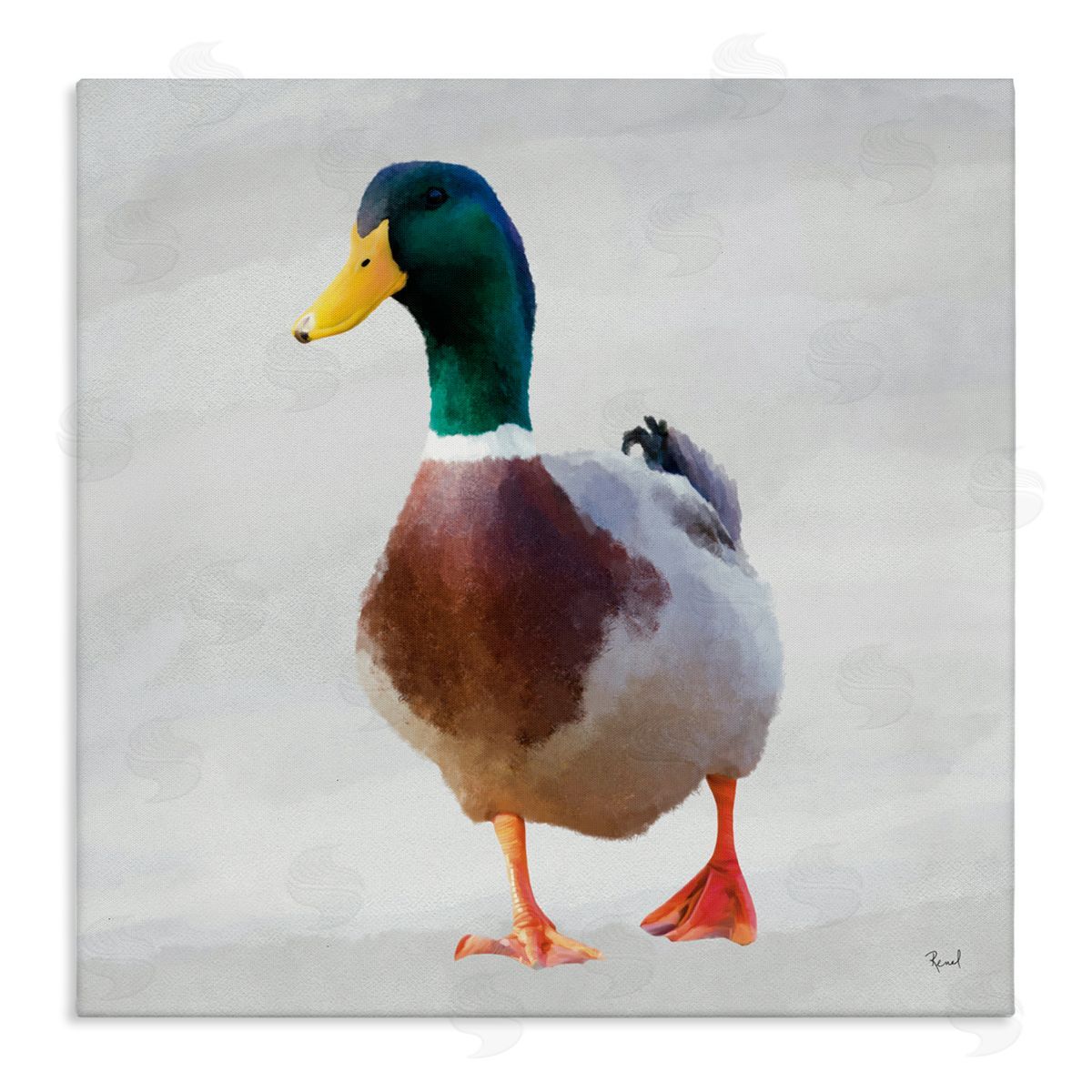 Renel Peters Mallard Duck Squawking Canvas Wall Art Print