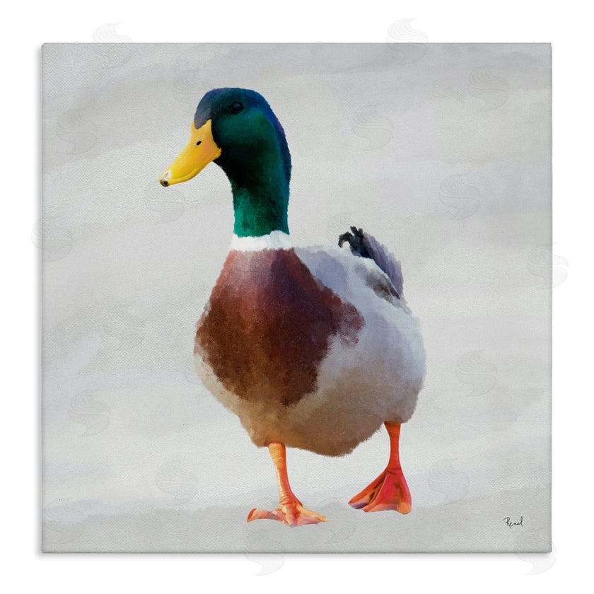 Renel Peters | Mallard Duck Squawking