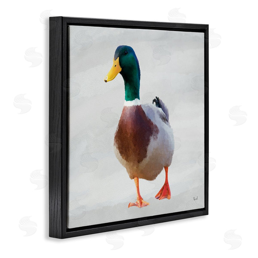 Renel Peters | Mallard Duck Squawking