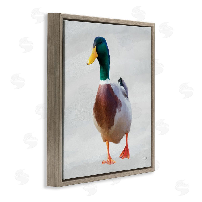 Renel Peters | Mallard Duck Squawking