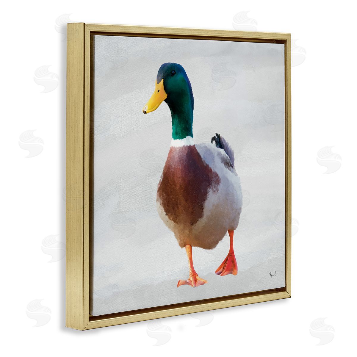 Renel Peters Mallard Duck Squawking Canvas Wall Art Print
