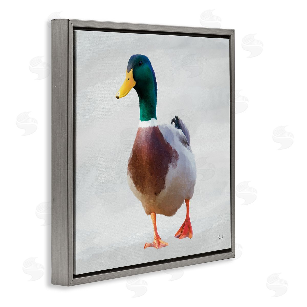 Renel Peters Mallard Duck Squawking Canvas Wall Art Print