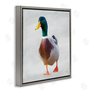 Renel Peters | Mallard Duck Squawking
