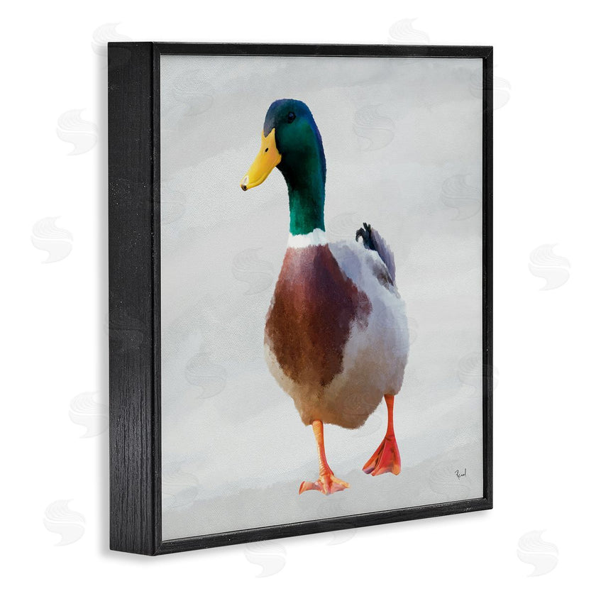 Renel Peters | Mallard Duck Squawking
