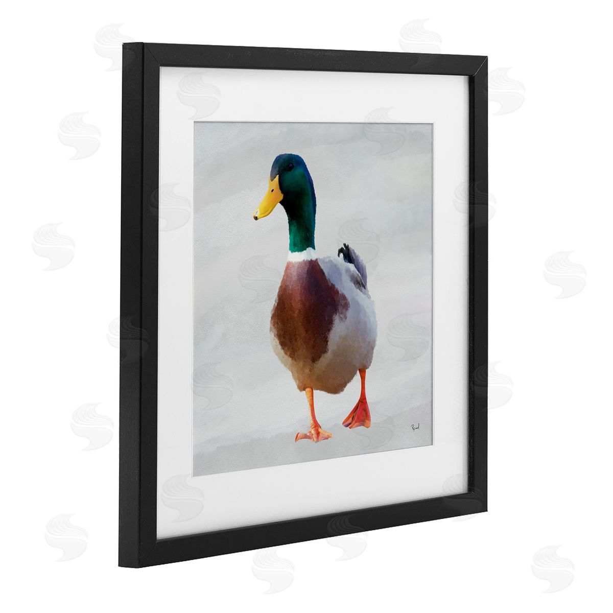 Renel Peters Mallard Duck Squawking Canvas Wall Art Print