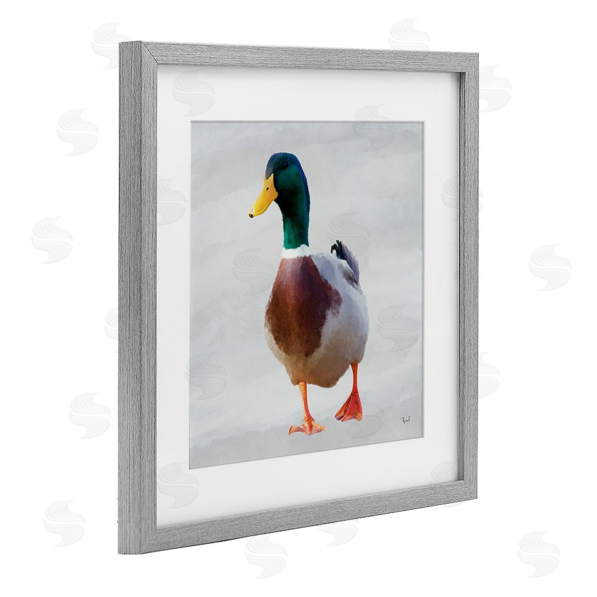 Renel Peters Mallard Duck Squawking Canvas Wall Art Print