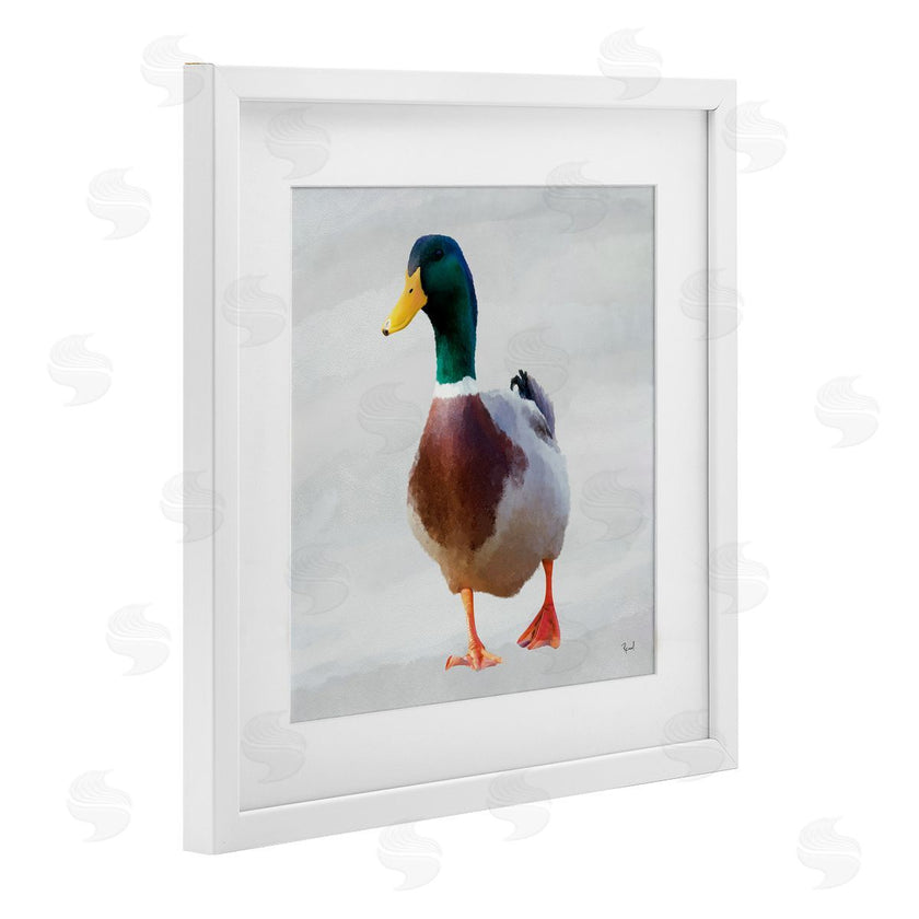 Renel Peters | Mallard Duck Squawking
