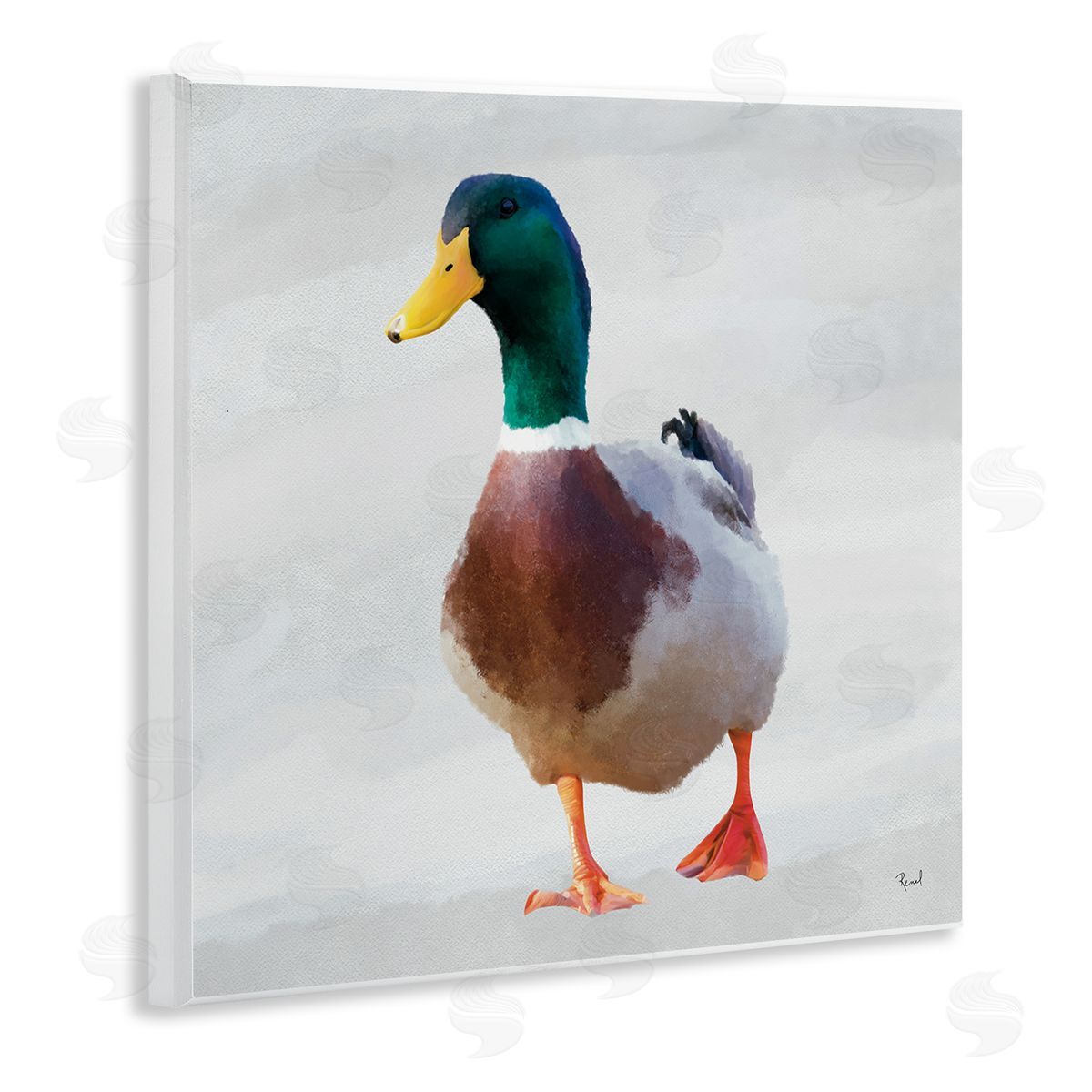 Renel Peters Mallard Duck Squawking Canvas Wall Art Print