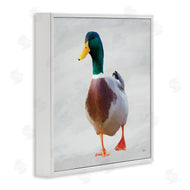 Renel Peters | Mallard Duck Squawking