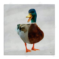 Renel Peters | Squawking Duck Portrait