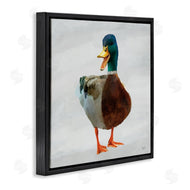 Renel Peters | Squawking Duck Portrait