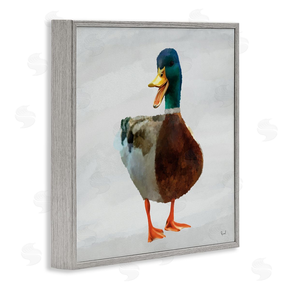 Renel Peters Squawking Duck Portrait Canvas Wall Art Print