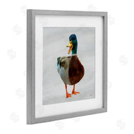 Renel Peters | Squawking Duck Portrait