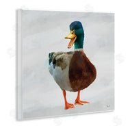 Renel Peters | Squawking Duck Portrait