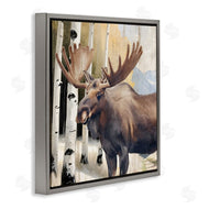 Kim Allen | Mountain Walk Moose Portrait