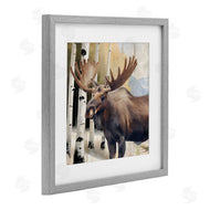 Kim Allen | Mountain Walk Moose Portrait