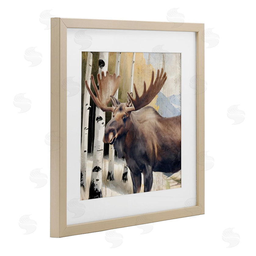 Kim Allen | Mountain Walk Moose Portrait