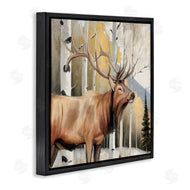 Kim Allen | Mountain Walk Elk Forest