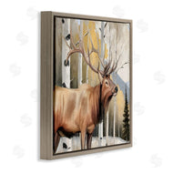Kim Allen | Mountain Walk Elk Forest