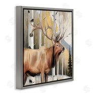 Kim Allen | Mountain Walk Elk Forest