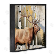 Kim Allen | Mountain Walk Elk Forest