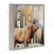 Kim Allen | Mountain Walk Elk Forest