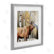 Kim Allen | Mountain Walk Elk Forest