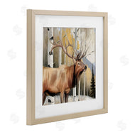 Kim Allen | Mountain Walk Elk Forest