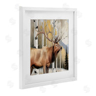 Kim Allen | Mountain Walk Elk Forest