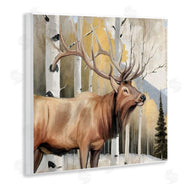 Kim Allen | Mountain Walk Elk Forest