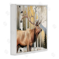 Kim Allen | Mountain Walk Elk Forest