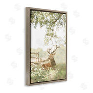 Leah Straatsma | White Tailed Deer Portrait