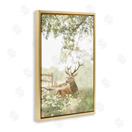Leah Straatsma | White Tailed Deer Portrait