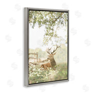 Leah Straatsma | White Tailed Deer Portrait