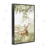 Leah Straatsma | White Tailed Deer Portrait