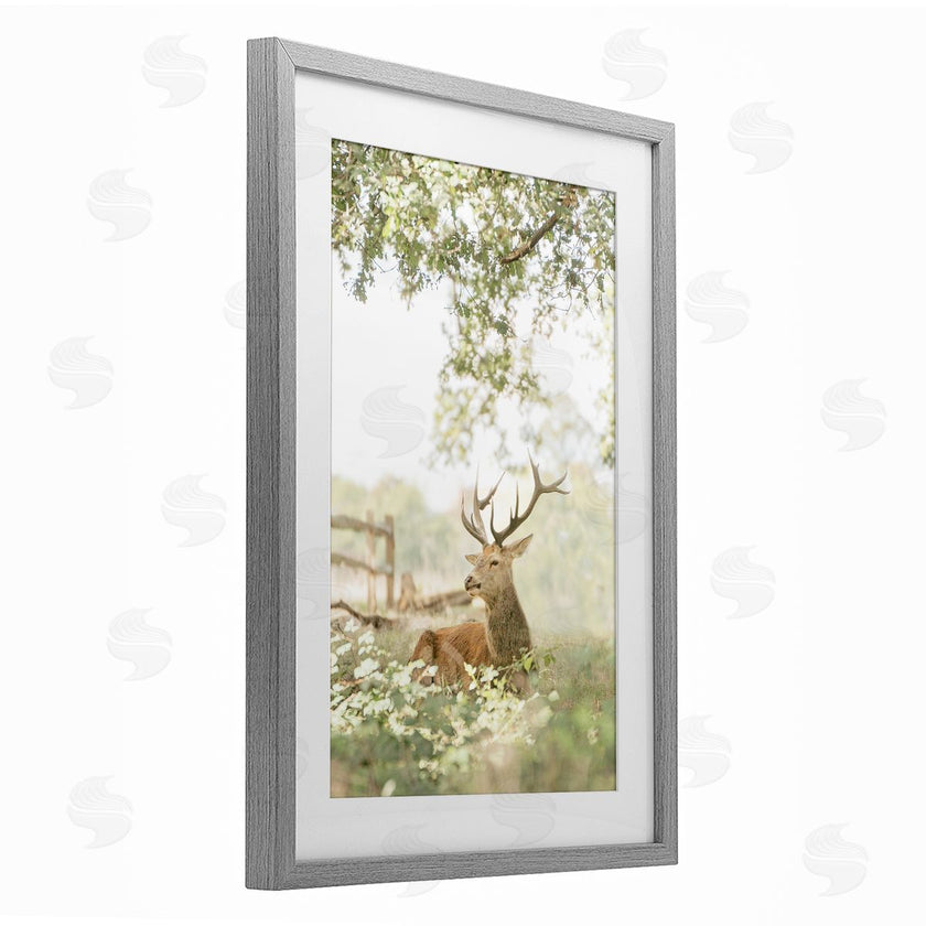 Leah Straatsma | White Tailed Deer Portrait