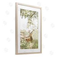 Leah Straatsma | White Tailed Deer Portrait