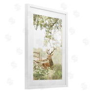 Leah Straatsma | White Tailed Deer Portrait