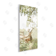 Leah Straatsma | White Tailed Deer Portrait