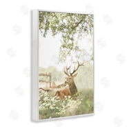 Leah Straatsma | White Tailed Deer Portrait