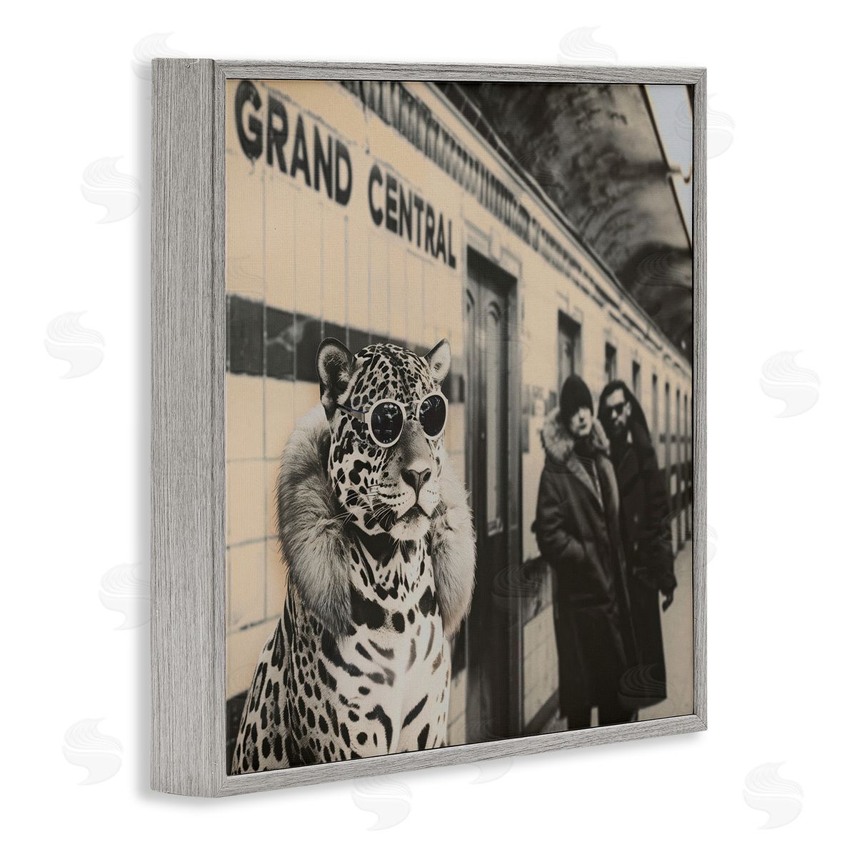 Sophie 6 | Grand Central Cat Glamour